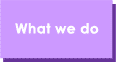 What we do
